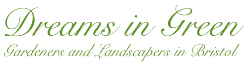 Landscaping & Gardening | Dreams in Green