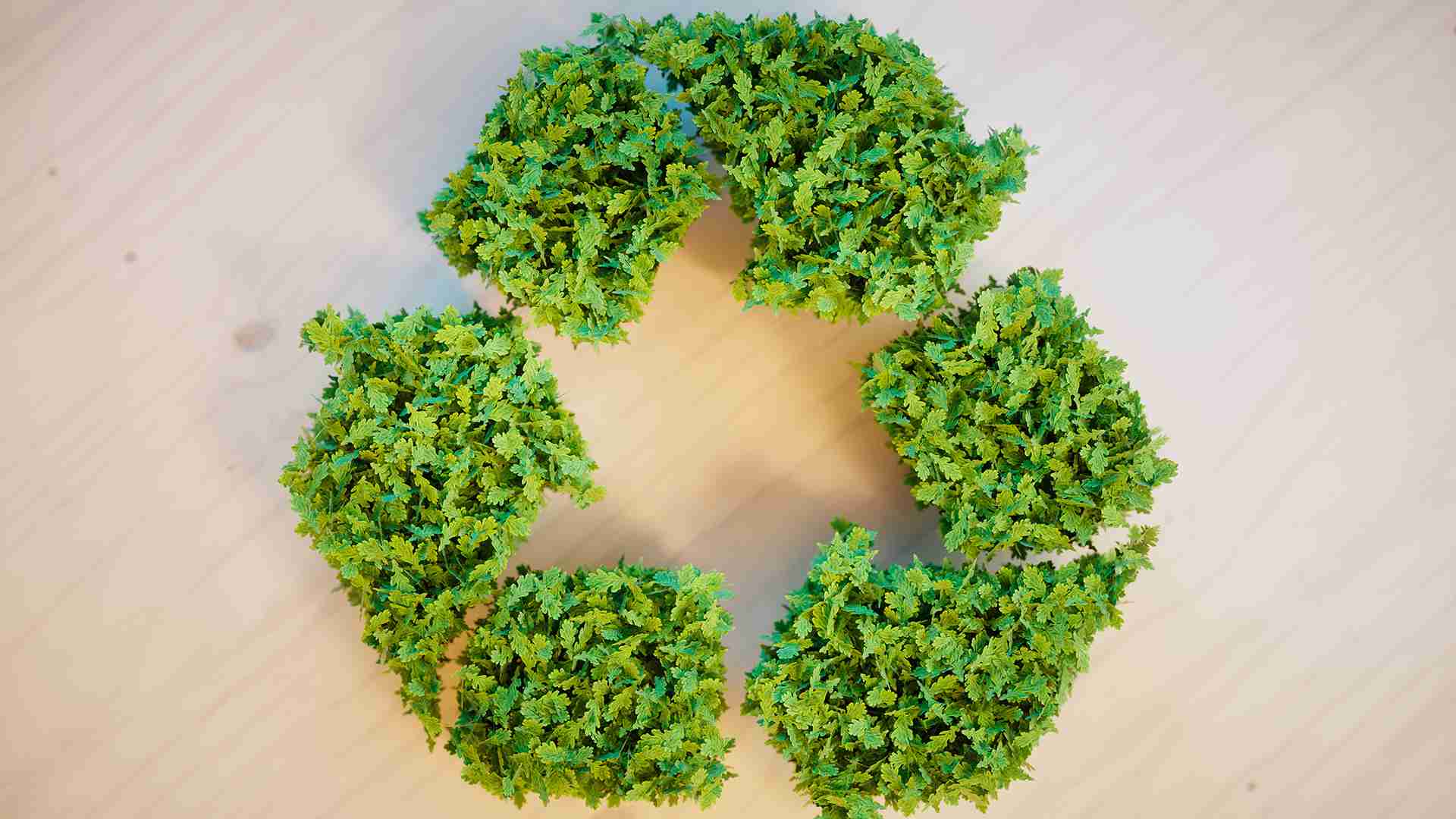 Green Waste Green Waste