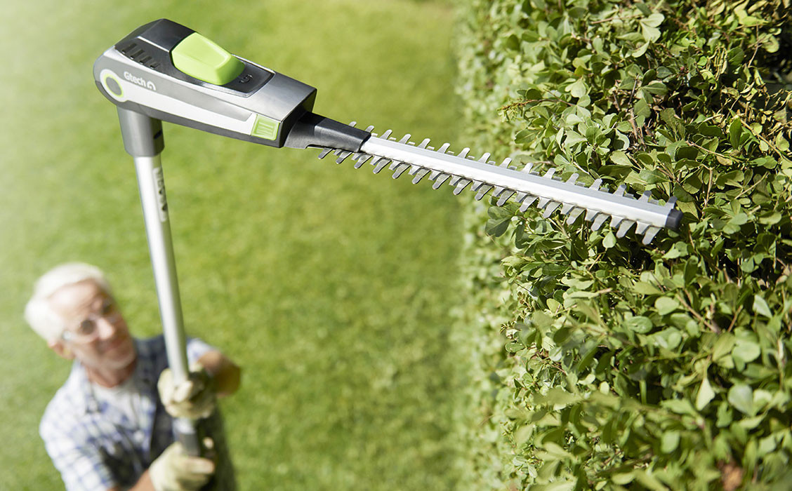 Hedge Trimming Hedge Trimming
